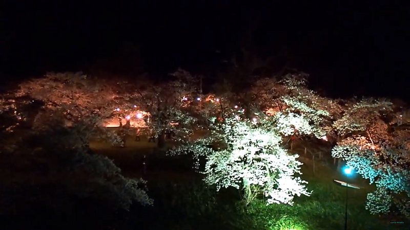 140419御殿場公園（夜桜）（YouTube） 