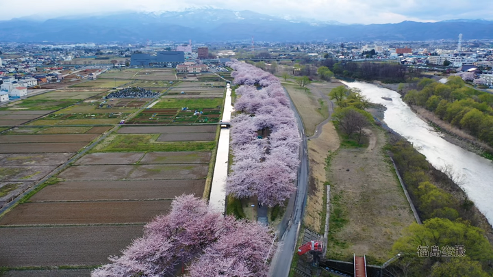 190408荒川桜づつみ公園（YouTube）