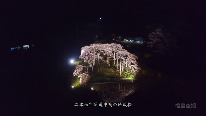 180407中島の地蔵桜（YouTube）