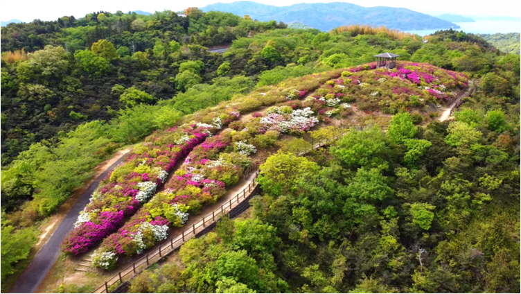 210425開山公園（伯方島）（YouTube）