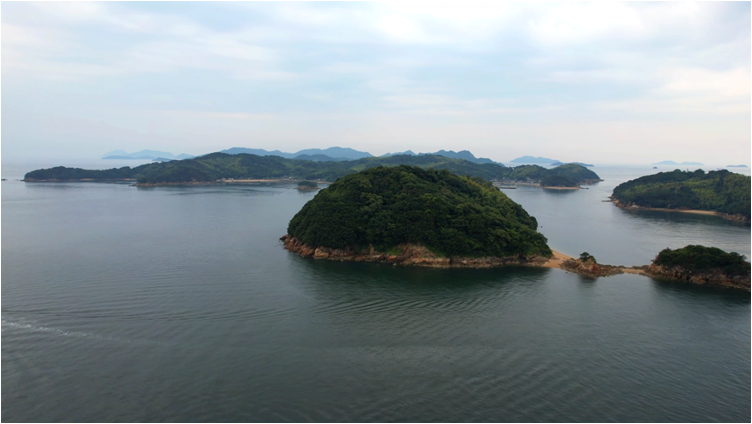 210626差出島／高島／明地島