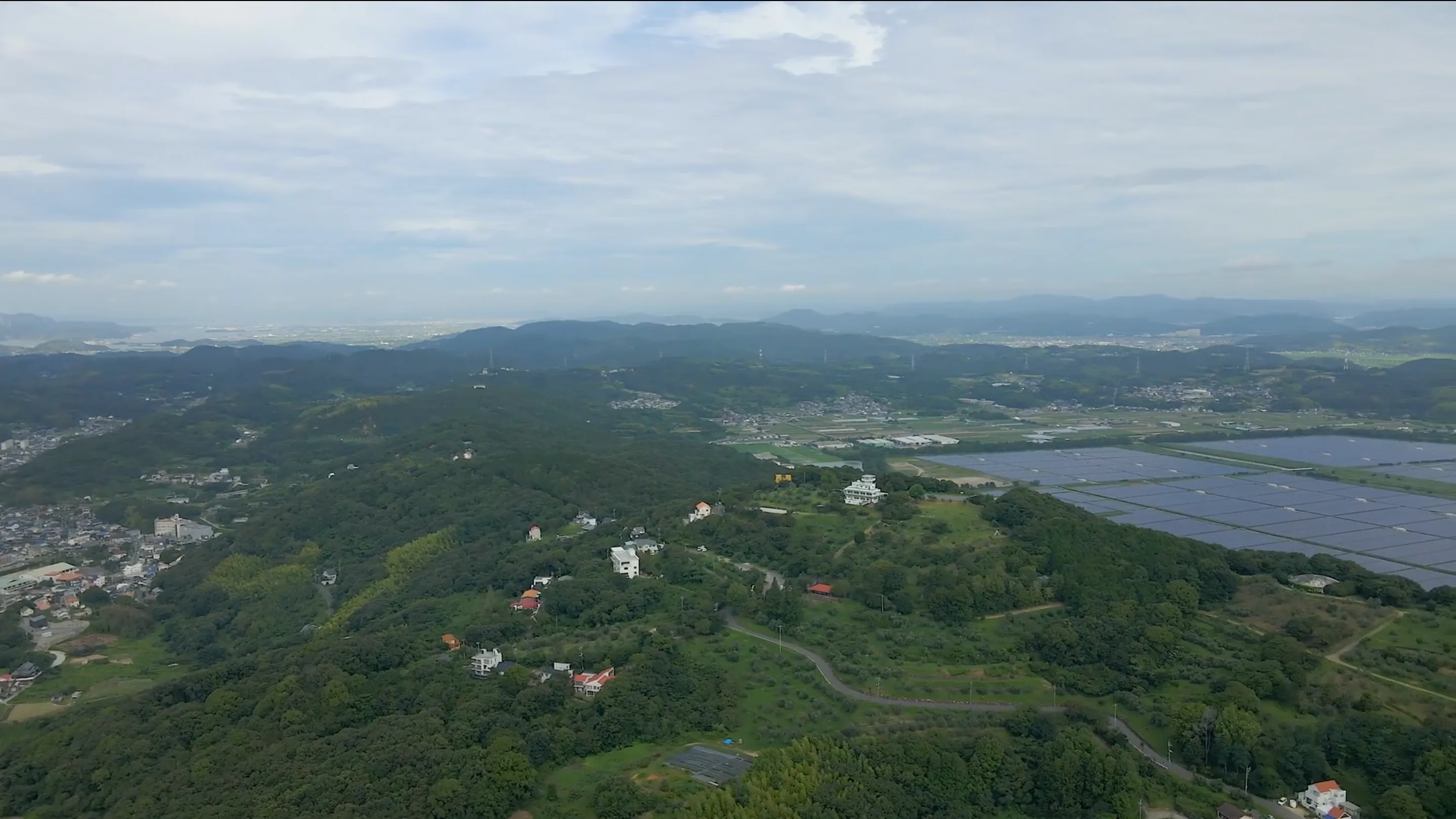 210717オリーブ園