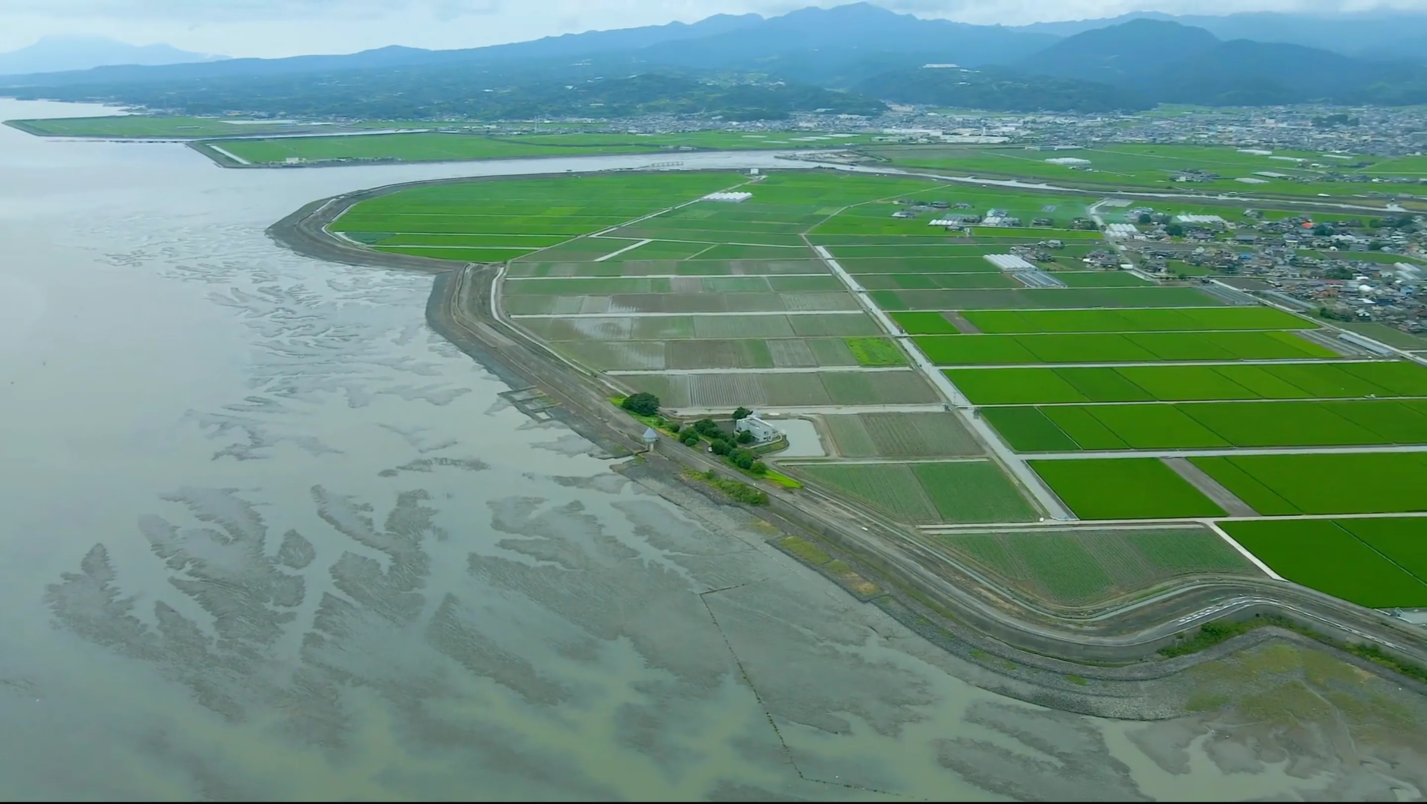 210815肥前鹿島干潟