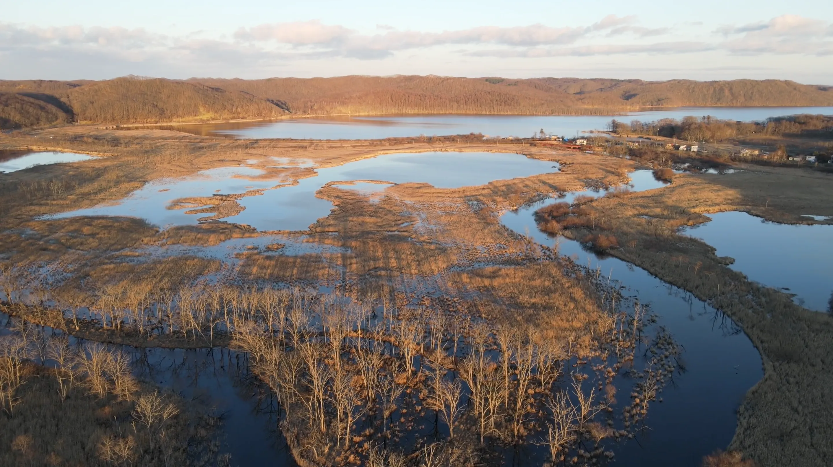 211128 Kushiro Wetland