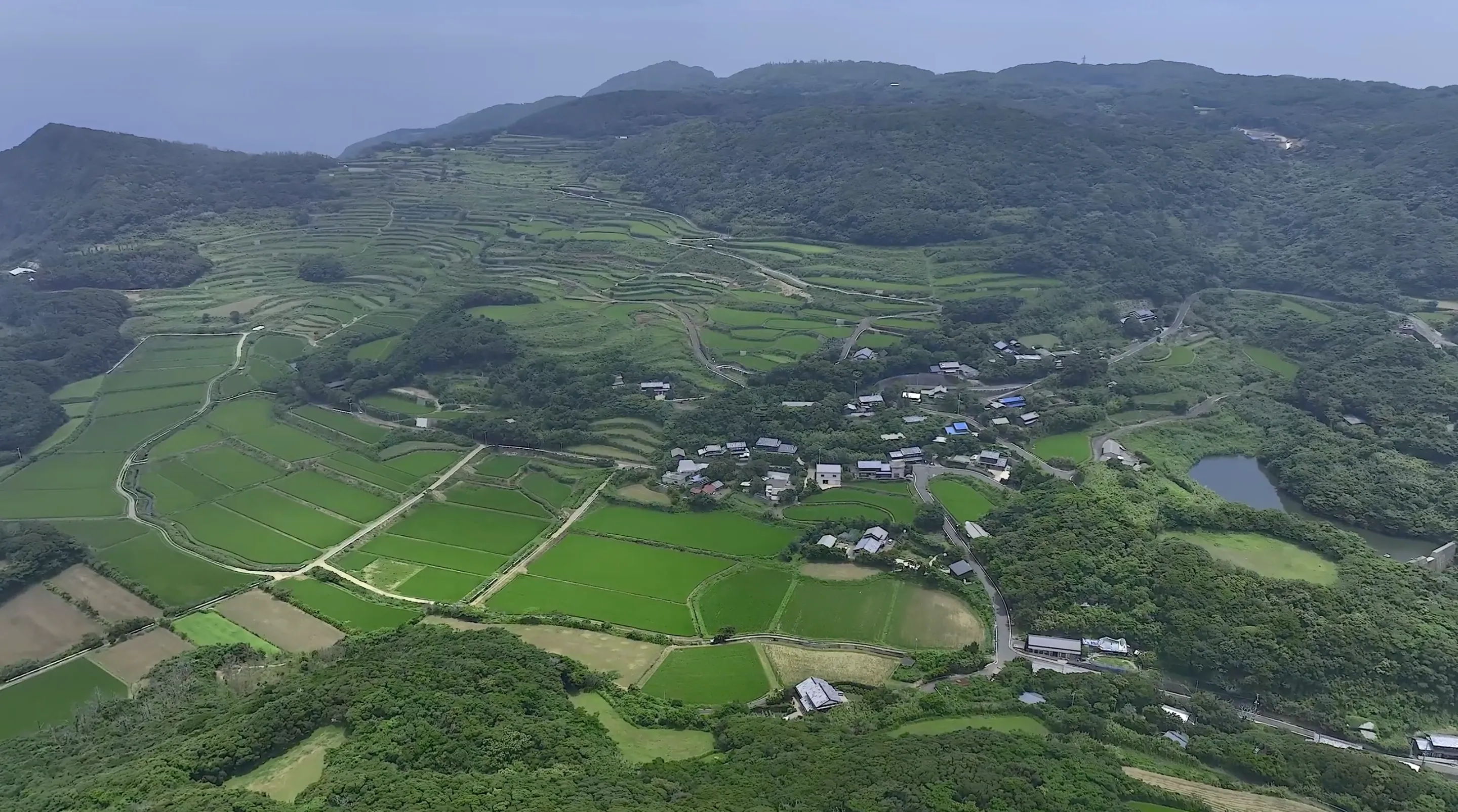 220702川内棚田（的山大島）