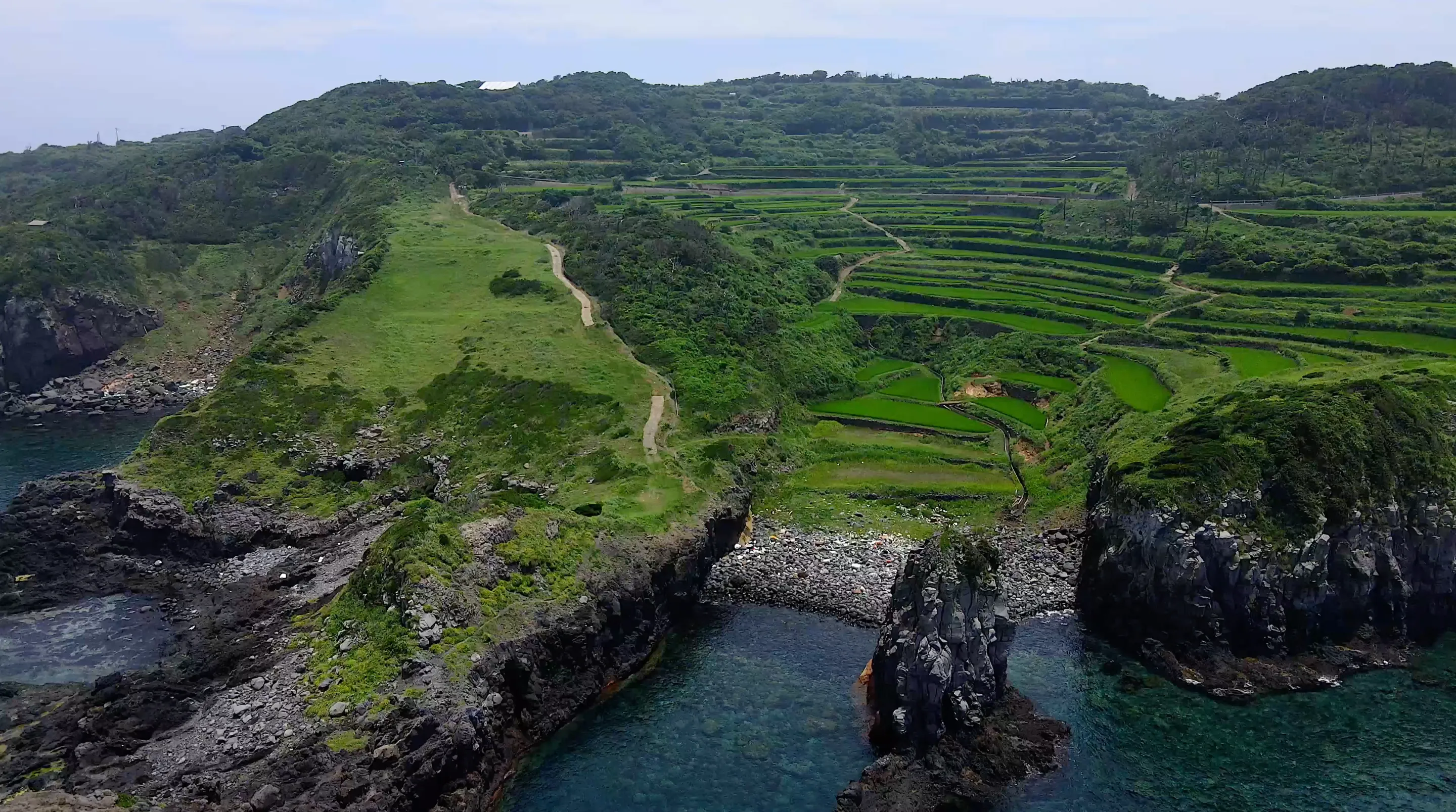 220702天の原棚田／的山大島長崎鼻灯台