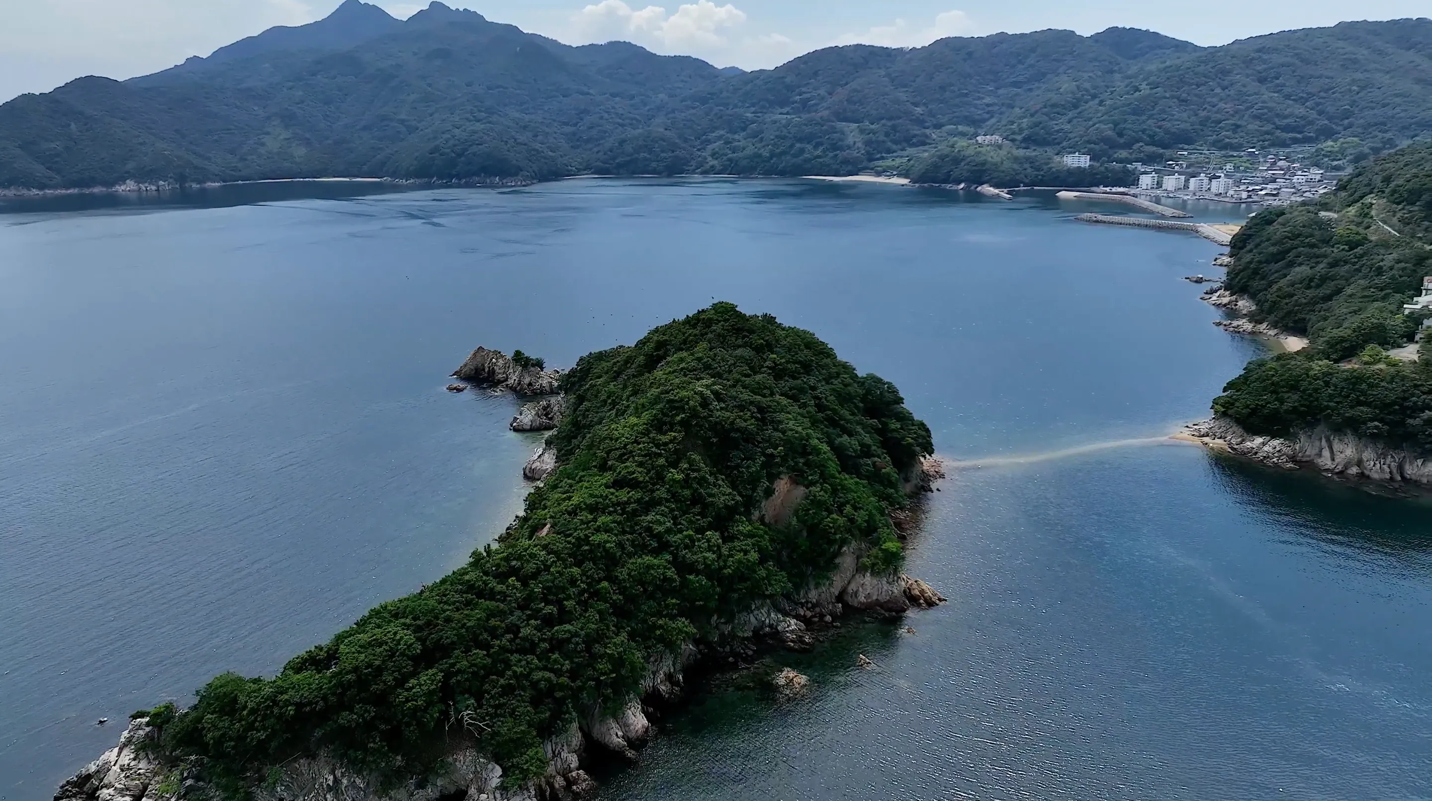 220813城ヶ島／白崎海岸