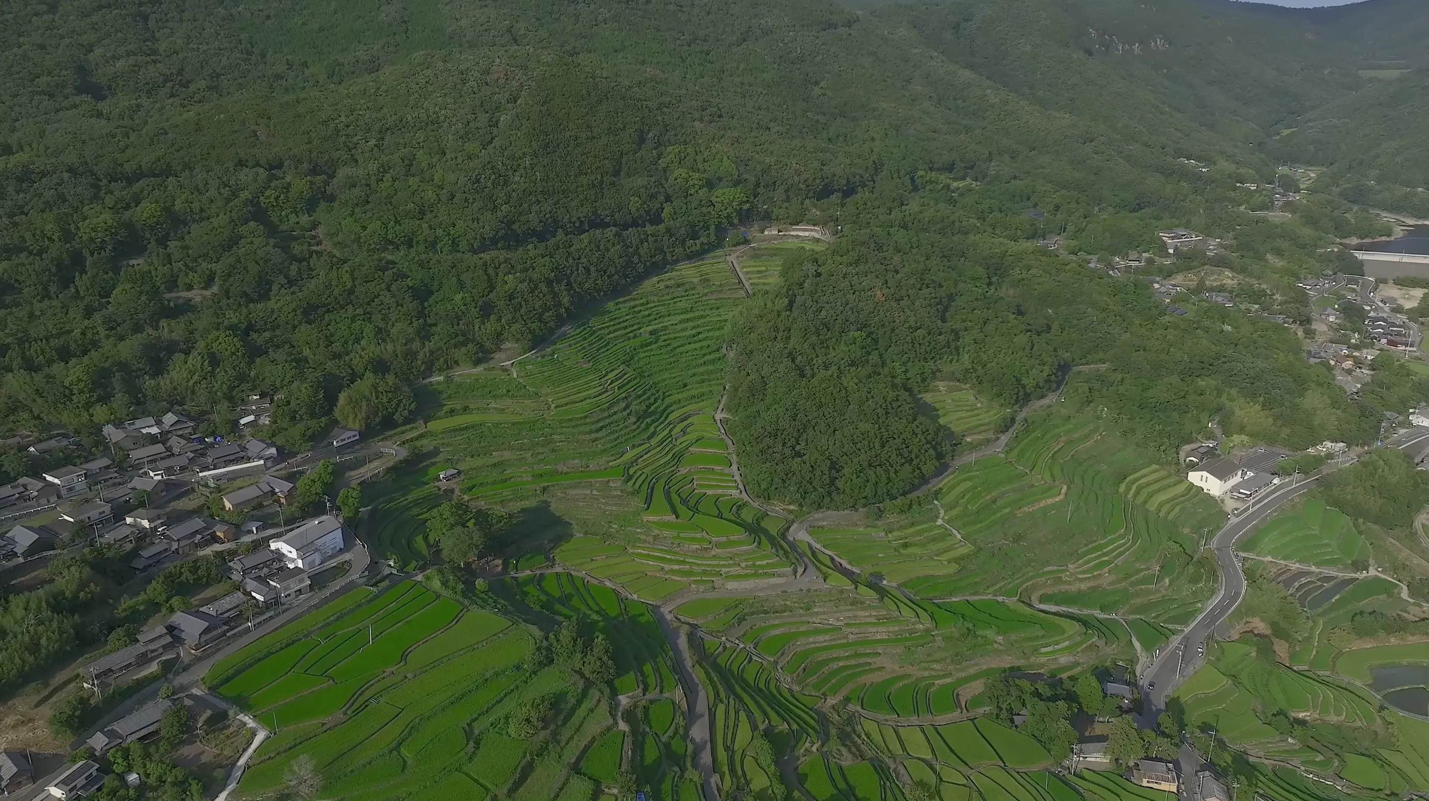 220813 中山千枚田/殿川水庫