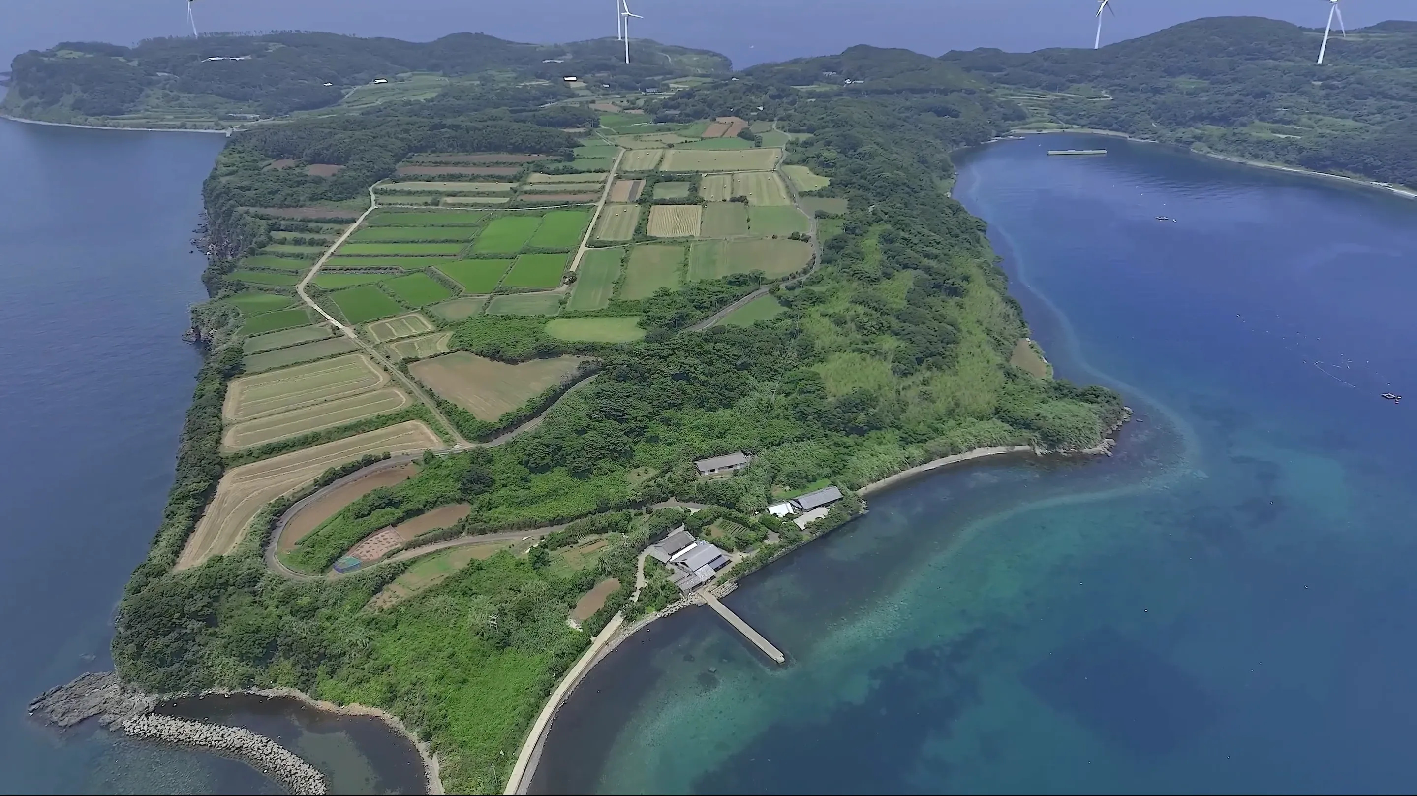 的山大島