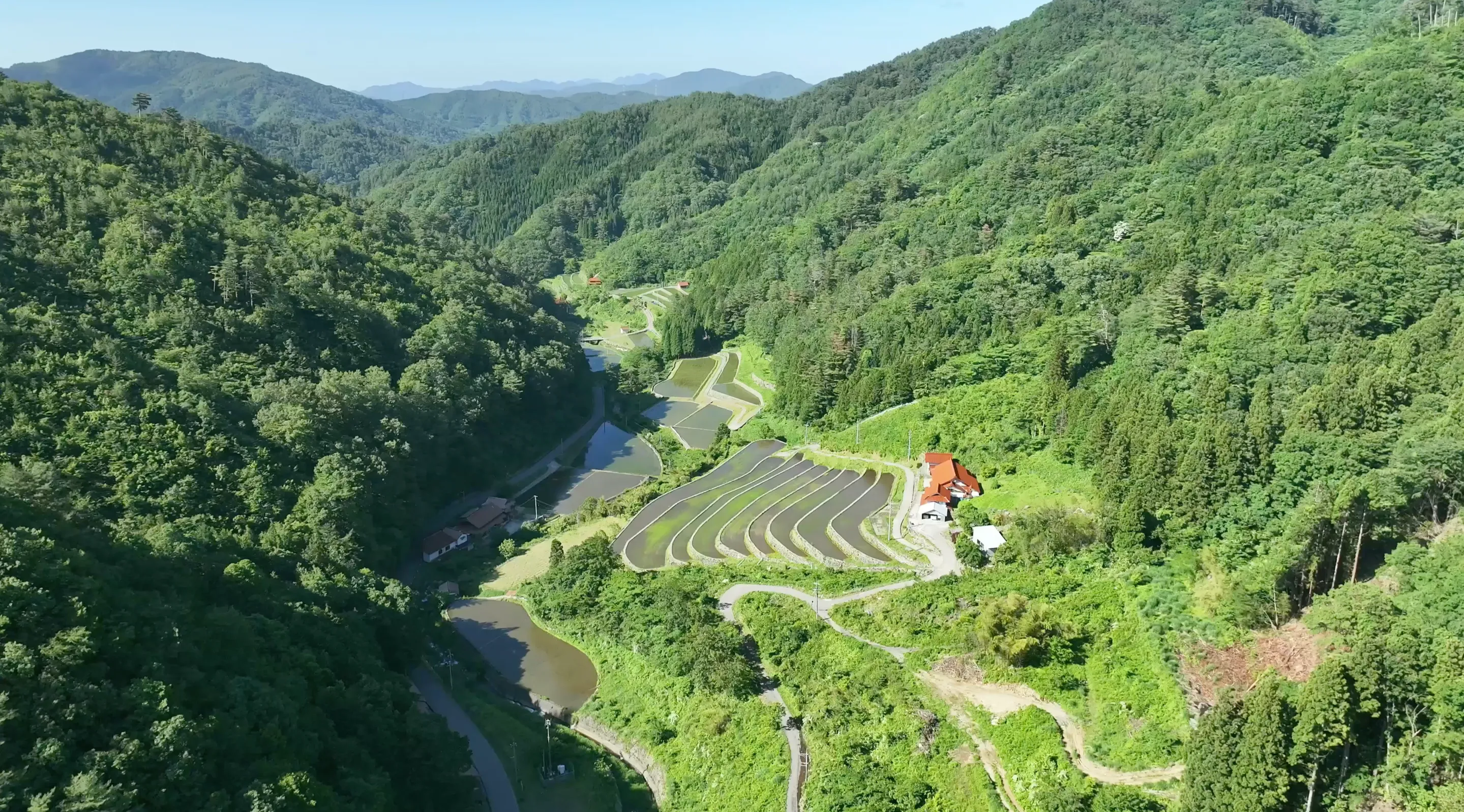 230603都川の棚田