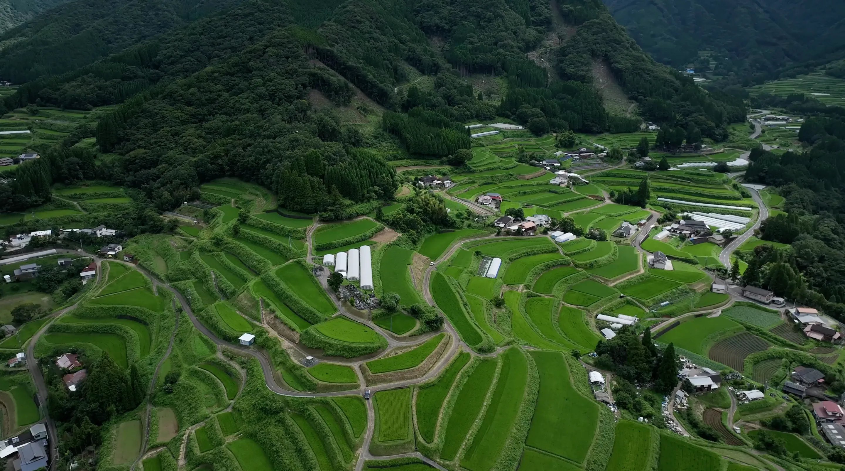 230805東岸寺扇の峰棚田