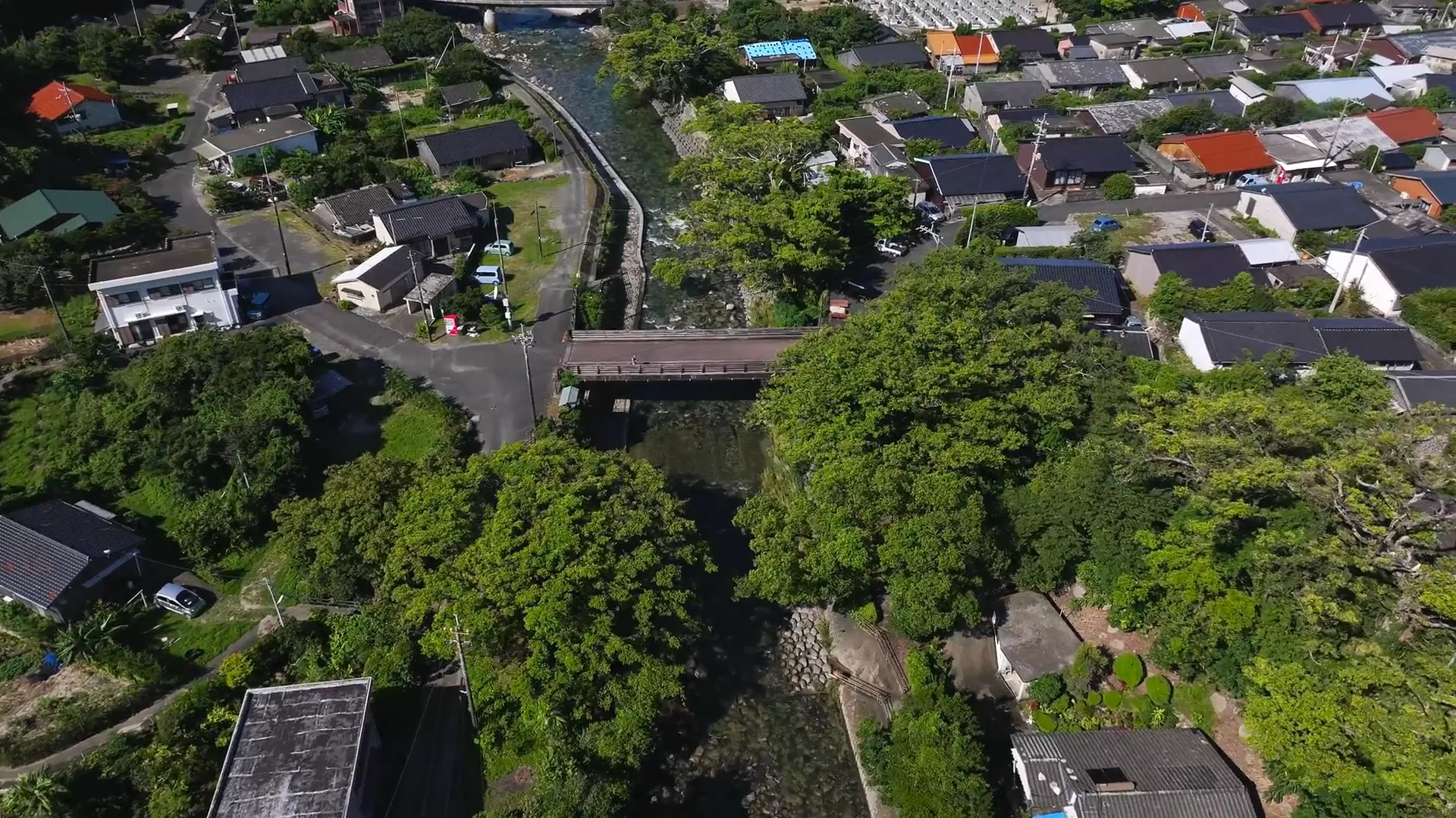 230813中間ガジュマル／中間川河口部