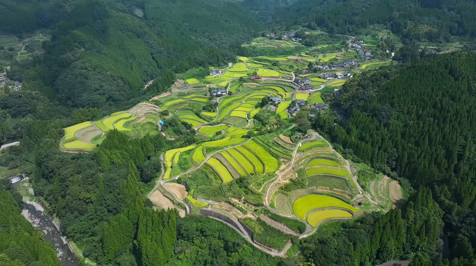 230917小崎の棚田