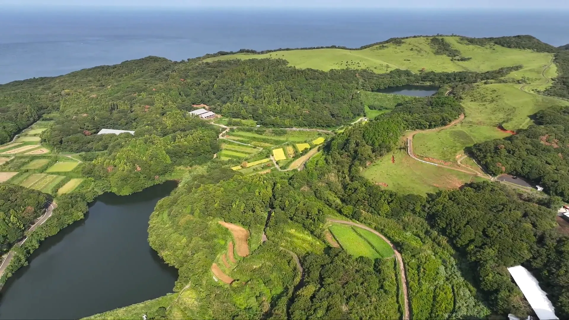 231001山頭草原／落木場池（生月島南部）