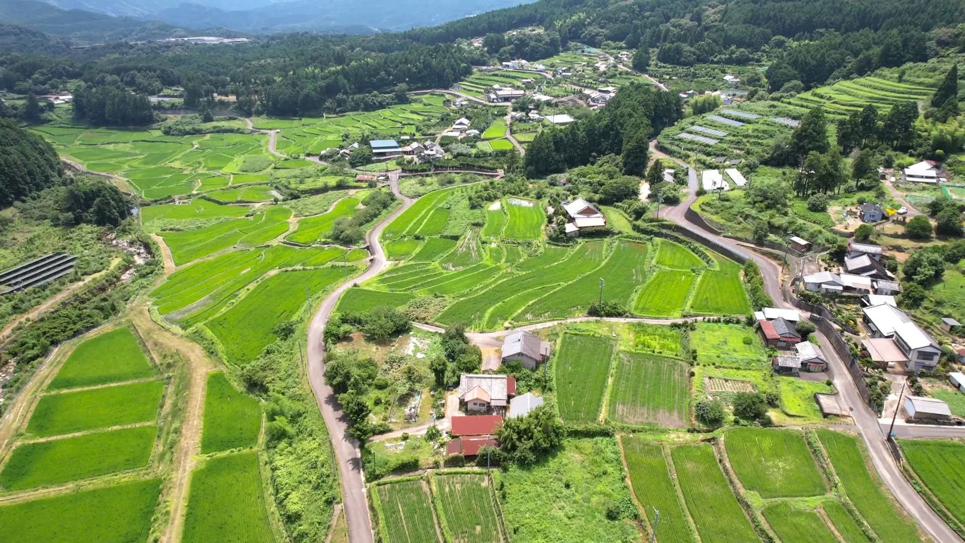 240709阪本集落（御浜町）