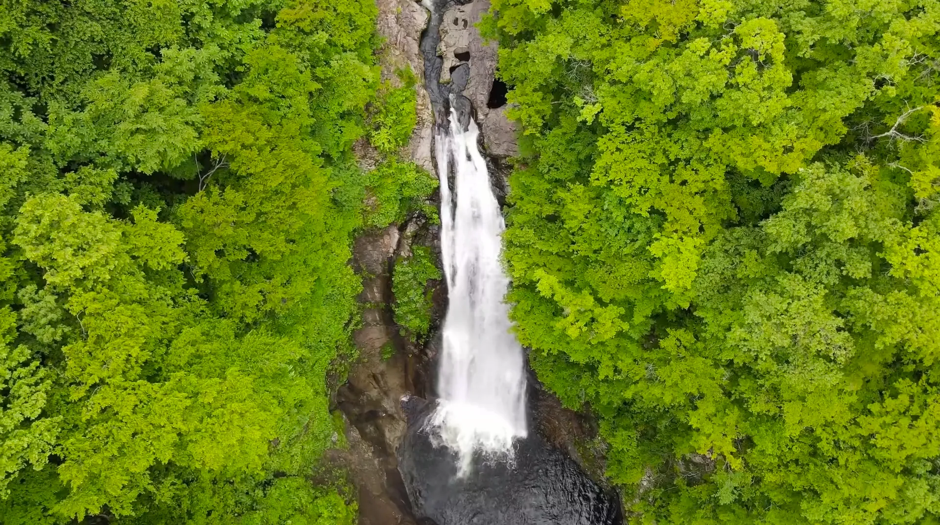 220601秋保大滝